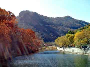 新澳天天开奖资料大全旅游团，纯棉卫生巾